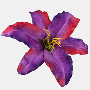 Dk. Violetti / Burgundy Edge