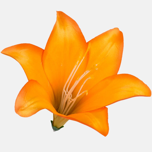 Satiini lilja Oranssi w/Dk. Reuna - Tekokukat.fi