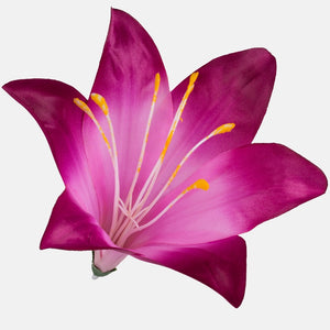 Burgundy w/Dk. Reuna