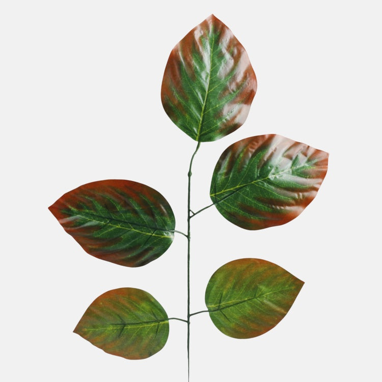 Lehmuspuun oksa 1 x 5 Vihreä/ruskea reuna - Tekokukat.fi