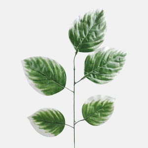 Vihreä/valkoinen reuna