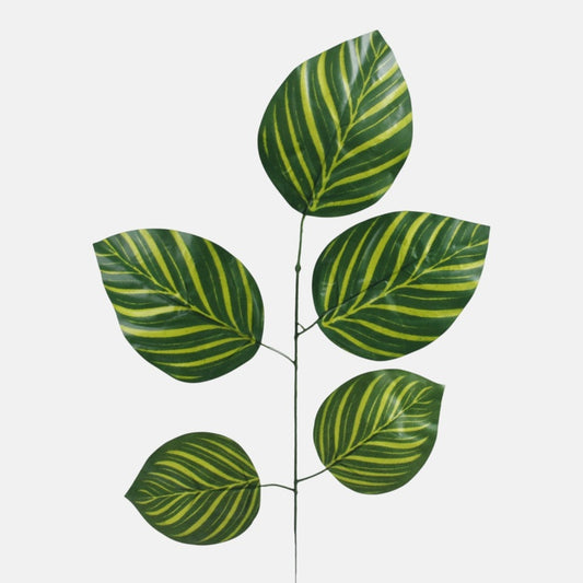 Lehmuspuun oksa 1 x 5 Seepra vihreä - Tekokukat.fi