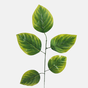 Vihreä/Lt. Vihreä reuna