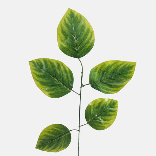 Lehmuspuun oksa 1 x 5 Vihreä/Lt. Vihreä reuna - Tekokukat.fi