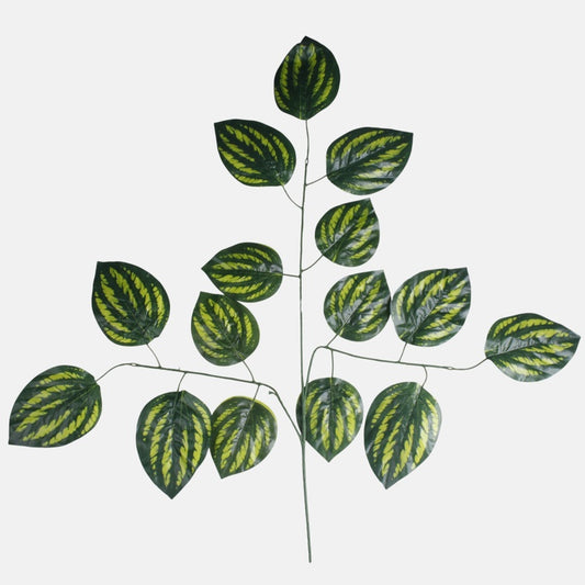 Lehmuspuun oksa 3 x 5 T.T. Vihreä - Tekokukat.fi