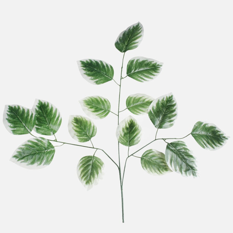 Lehmuspuun oksa 3 x 5 Vihreä/valkoinen reuna - Tekokukat.fi