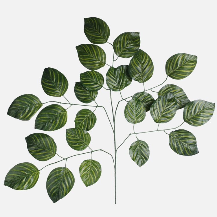 Lehmuspuun oksa 5 x 5 T.T. Vihreä - Tekokukat.fi