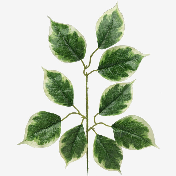 Lehmus Vihreä/keltainen reuna - Tekokukat.fi