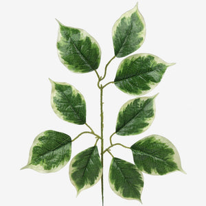 Vihreä/keltainen reuna