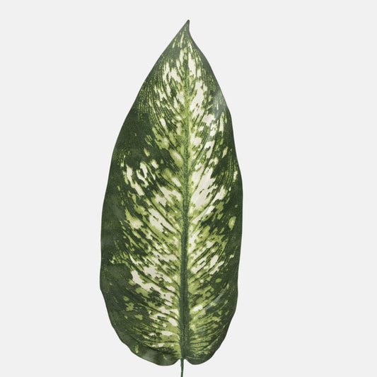 Dieffenbachian lehtiä vihreä 3 - Tekokukat.fi