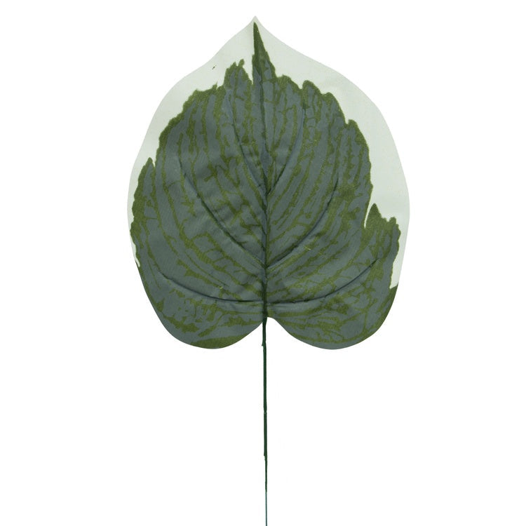 Hosta lehtiä vihreä/valkoinen reuna - Tekokukat.fi