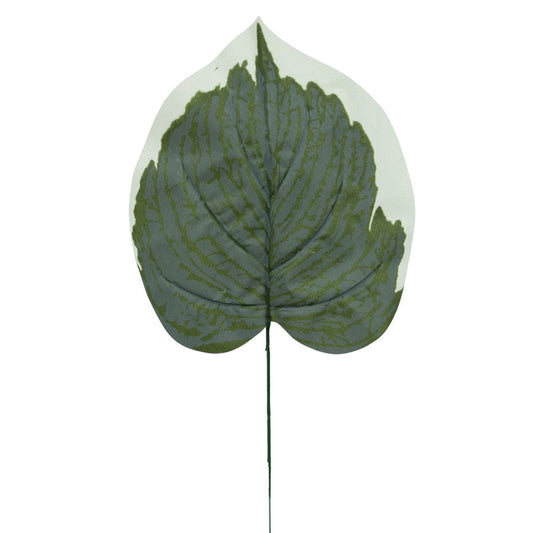 Hosta lehtiä vihreä/valkoinen reuna - Tekokukat.fi