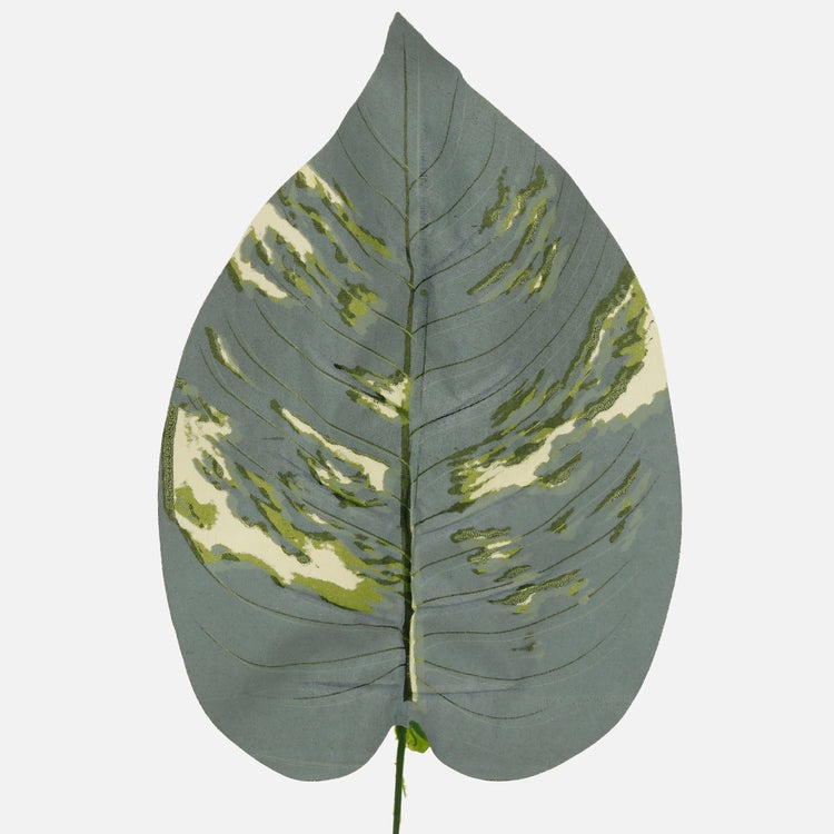 Hosta lehtiä pakkasvihreä 2 - Tekokukat.fi