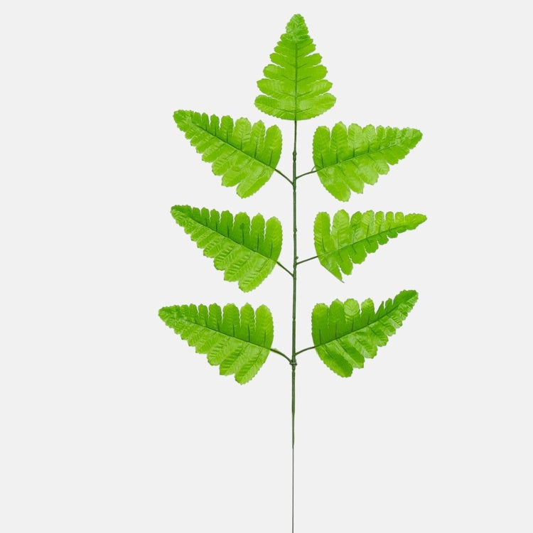 Saniaisen lehtiä Vihreä - Tekokukat.fi
