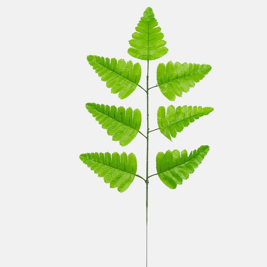 Saniaisen lehtiä Vihreä - Tekokukat.fi