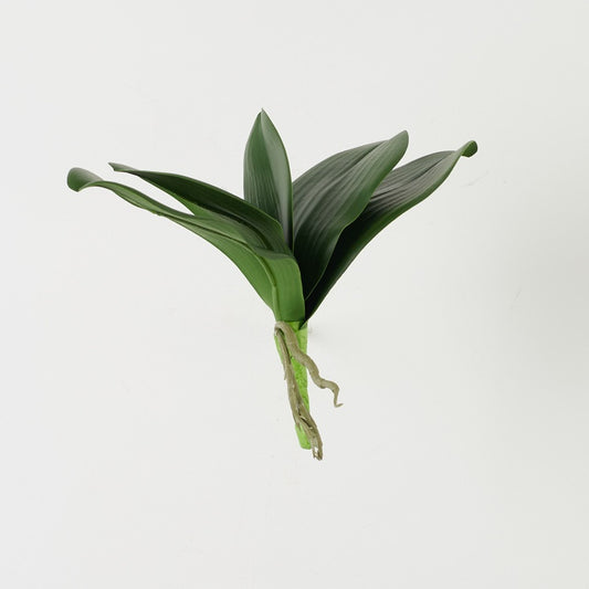 Orkidean varsi x 5 Vihreä - Tekokukat.fi