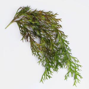 Vihreä/syksynvihreä