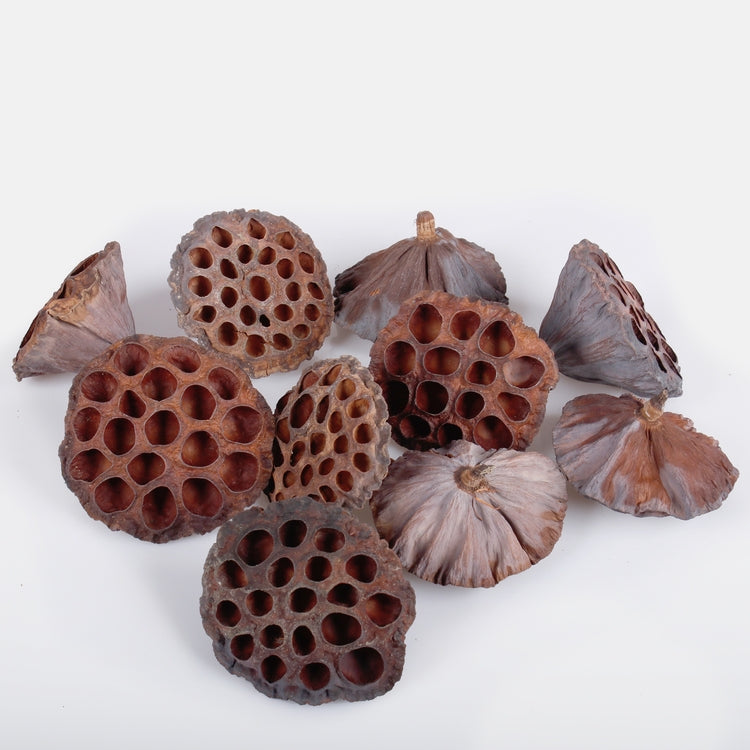 Paljon erittäin suuria - Tekokukat.fi