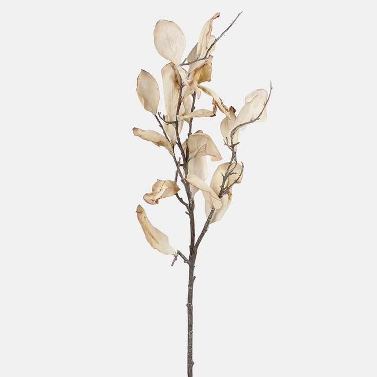 Syksyn oksa magnolia syksyinen beige - Tekokukat.fi