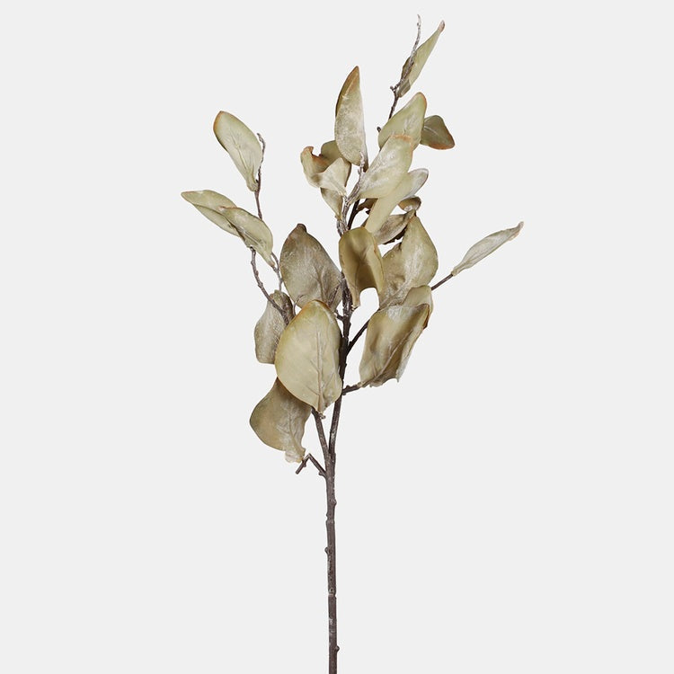 Syksyn oksa magnolia syksyn vihreä - Tekokukat.fi