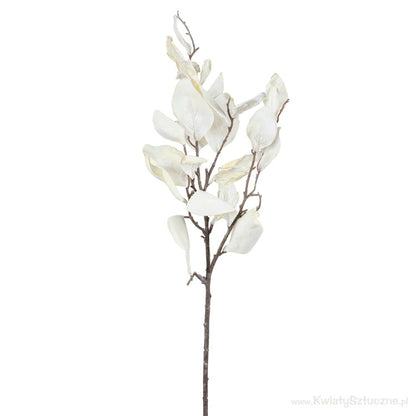 Syksyn oksa magnolia 
syksyinen voide