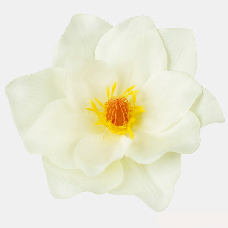 Magnolia T.T. Kerma - Tekokukat.fi