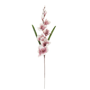 Malva Kerma