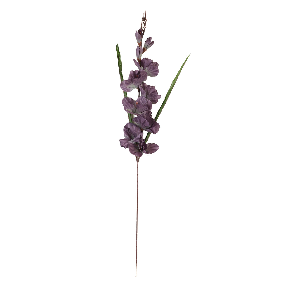 Malvanvärinen gladiolus – tekokukka