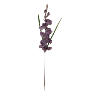 Malva