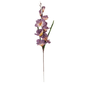 Malva