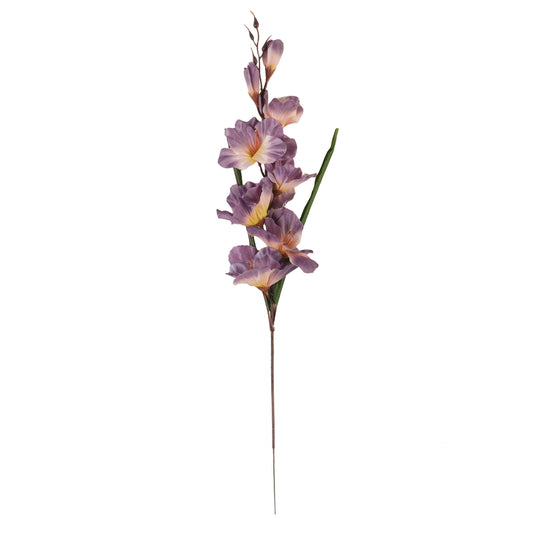 Malvanvärinen gladiolus – tekokukka