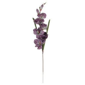 Malva