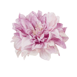 Malva