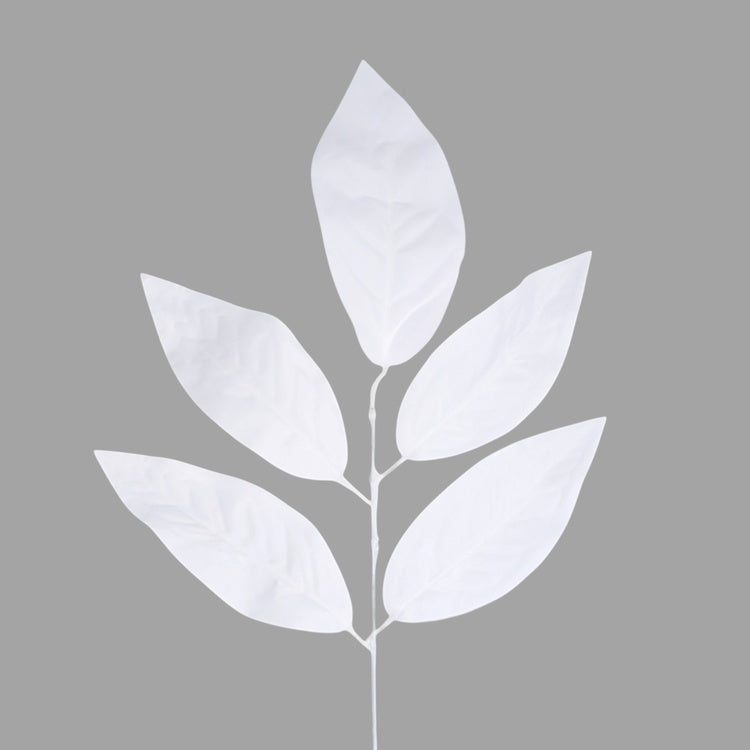 Mango 1 x 5 Valkoinen - Tekokukat.fi