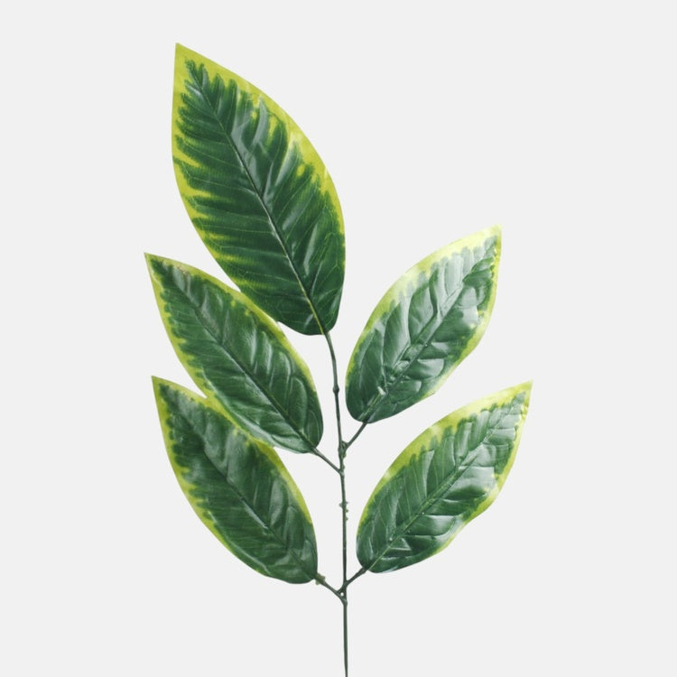 Mango 1 x 5 Vihreä/Lt. Vihreä reuna - Tekokukat.fi