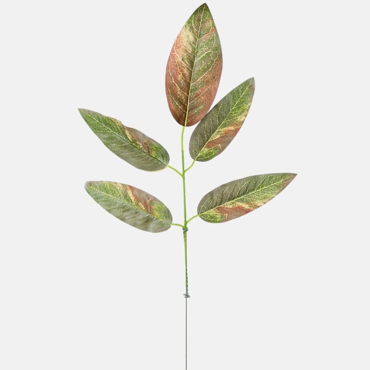 Mango (1 x 5) Ruskea/vihreä - Tekokukat.fi