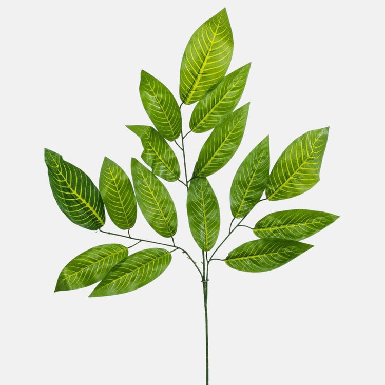 Mango (3 x 5) Vihreä - Tekokukat.fi