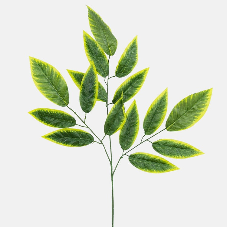 Mango (3 x 5) Vihreä/Lt. Vihreä reuna - Tekokukat.fi