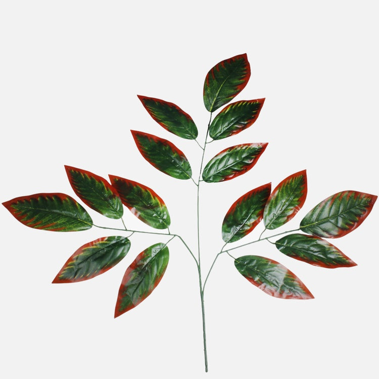 Mango 3 x 5 Vihreä/ruskea reuna - Tekokukat.fi