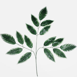 Vihreä/valkoinen reuna