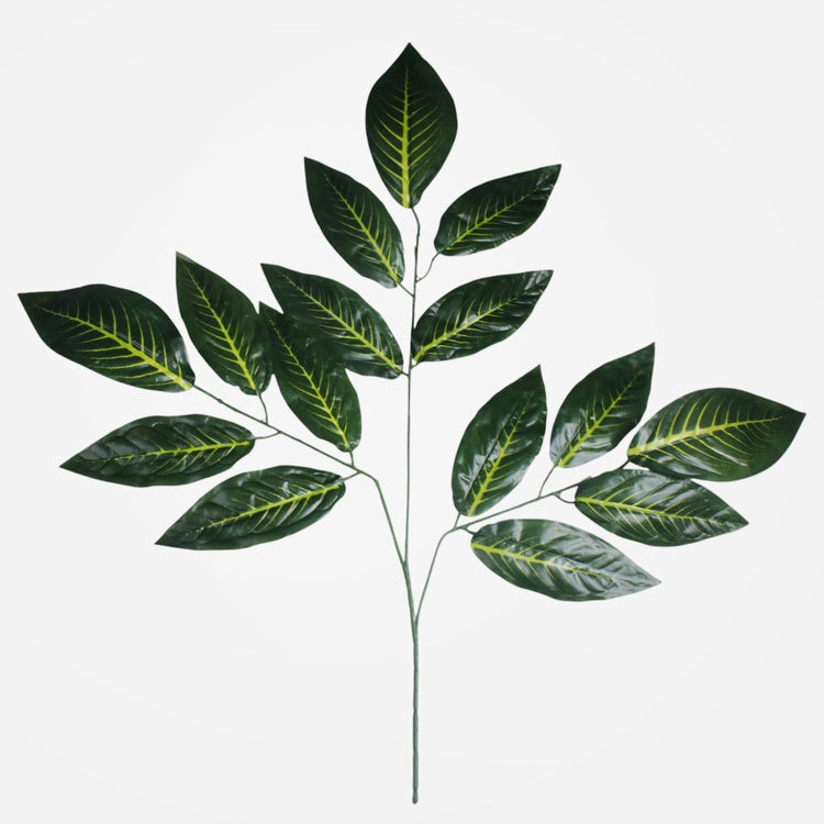 Mango 3 x 5 Dk. Vihreä - Tekokukat.fi