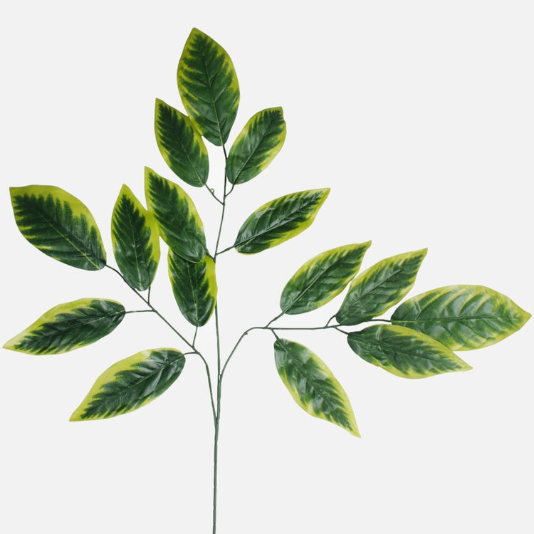 Mango 3 x 5 Vihreä/Lt. Vihreä reuna - Tekokukat.fi