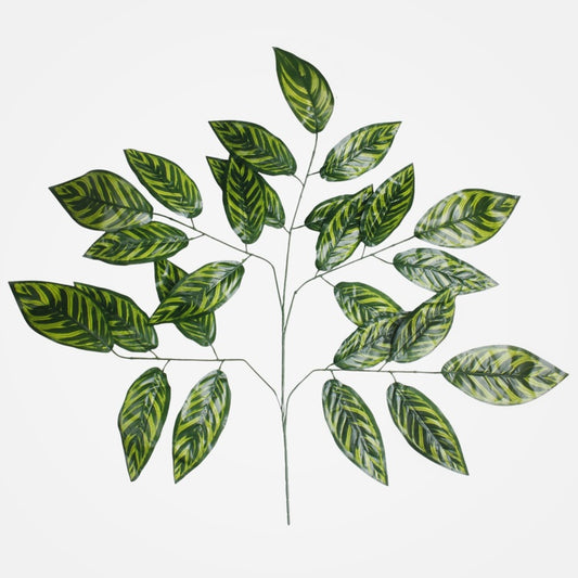 Mango 5x5 T.T. Vihreä - Tekokukat.fi