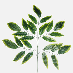 Vihreä/Lt. Vihreä reuna