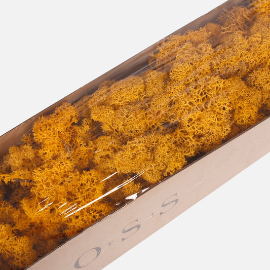 Poro sammal Keltainen - Tekokukat.fi