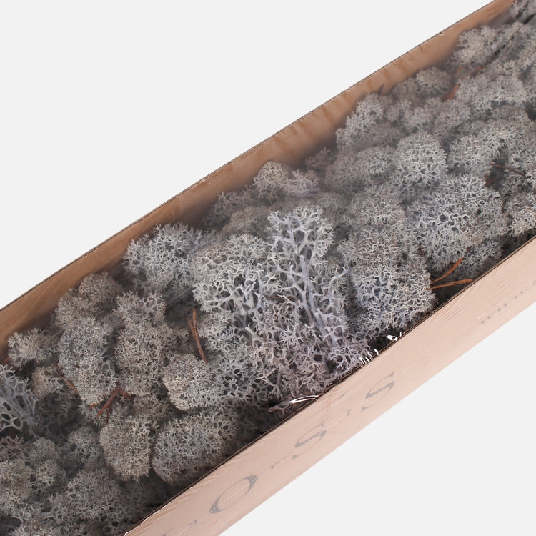 Poro sammal Violetti - Tekokukat.fi