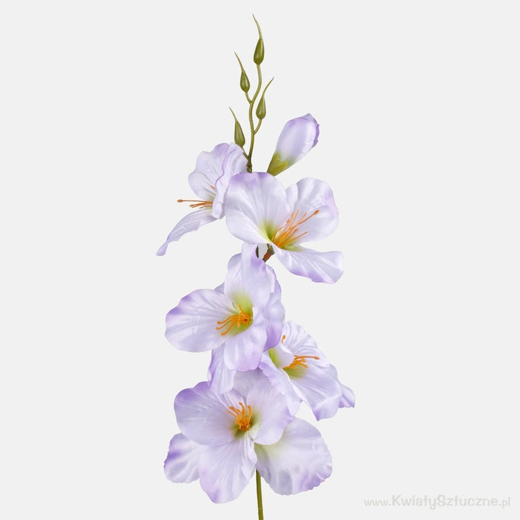 Gladiolus satiini tekokukka vaalea lila/vihreä keskusta