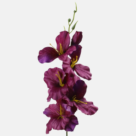 Satiinigladiolus tekokukka violetti