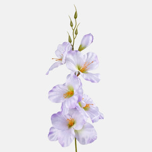 Vaalea lila/vihreä keskusta