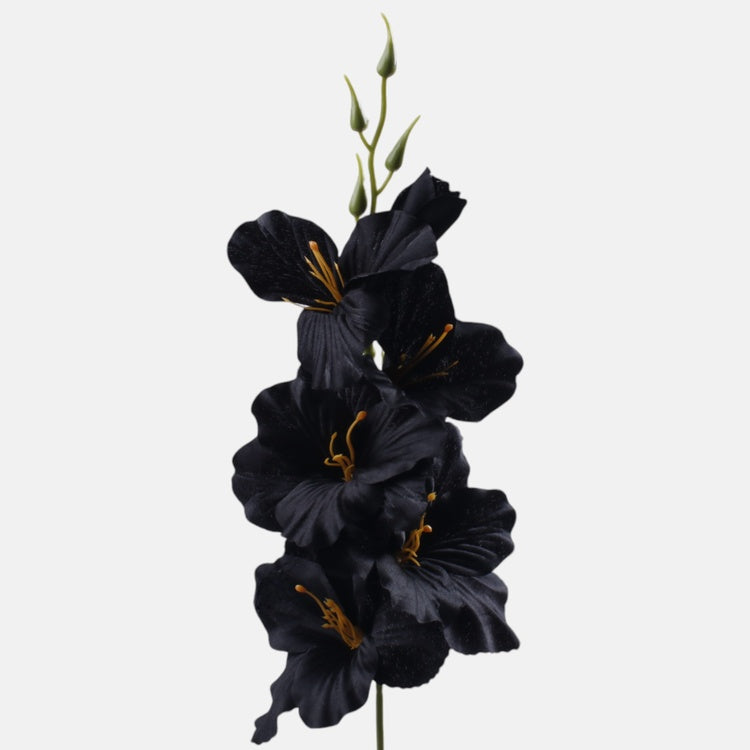 Satiinigladiolus tekokukka musta - Tekokukat.fi